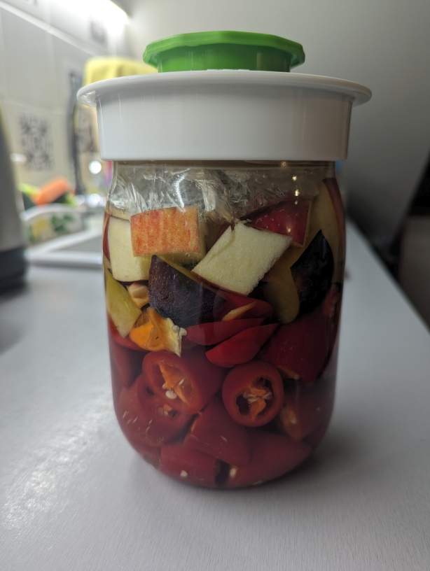 ferment_2023_1.jpg